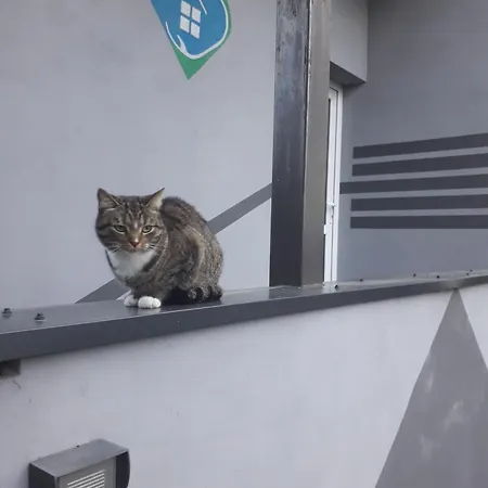 Caloroczny U Grzegorza * Lidzbark Welski